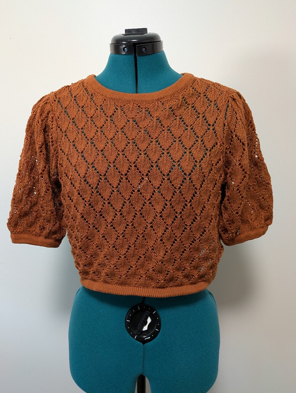 And Now This Rust Orange Open-Knit Short Sleeve Crop Sweater